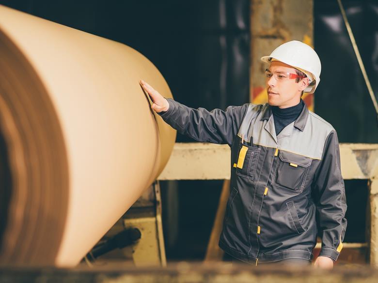 10229_pe_paper_factory_831799